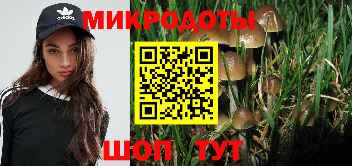 Галлюциногенные грибы Psilocybe  Вход с VPN  Партизанск 